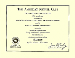 Championship Certificate